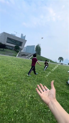 A Mouse’s First Flight Experience: Hilariously Awkward! 🐭✈️ #FlyingMouse #FunnyPets #CuteAnimals