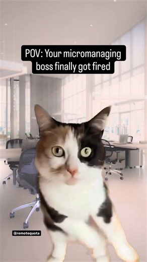 POV: Peace is finally returning to your office #relatable #toxic #freed