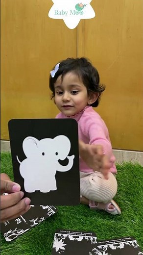 Baby Moo High Contrast Flash Cards Pack of 12 - Animals