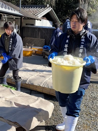 Yukari T. Bartenderの日常アカウント on Instagram‎: "菩提酛清酒祭🌾酒ディプロマ試験で教本に載ってた事、実際に見聞きするとびっくりするくらいスッと理解できた🍶 大変勉強になりました🙏✨ 今年はWSET Sake英語試験、大丈夫かな私📝英文半分も理解できてないかも😵‍💫 いつもありがとう、ジェミー📱ꉂ🤣𐤔 @googlegemini Bodaimoto （菩提酛） is the oldest traditional method for creating the yeast starter (shubo) in Japanese sake production. Originating in the 15th century (Muromachi period) at Shoryakuji Temple in Nara, it is considered the prototype for almost all modern sake brewing techniques. Key Characteristics • The "Soya