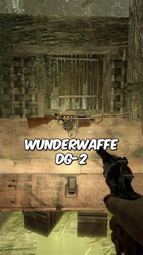 the PROBLEM with the WUNDERWAFFE DG-2 in CALL OF DUTY ZOMBIES⚡