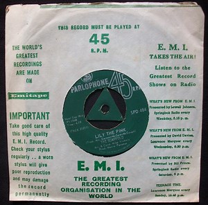 The Scaffold - Lily The Pink