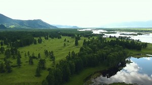 As intermináveis florestas de Altai em 4K (VÍDEO)