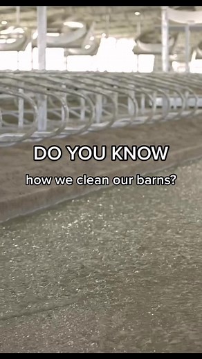 Caring for Our Cows: A Look Inside Our Dairy Farm Practices