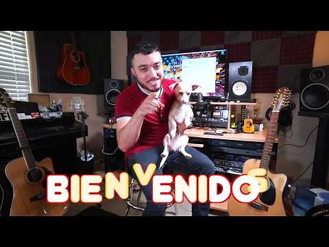 Ibanez AW5412CE vs Takamine EF381SC