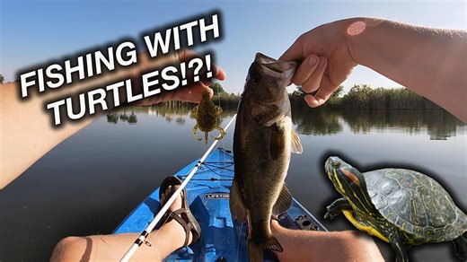 Fishing With Doomzday Turtles and Catching Bass Along the Way