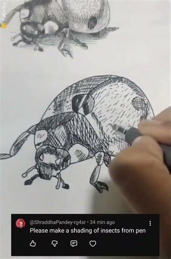 shading of insects from pen 🖊 please do like and subscribe