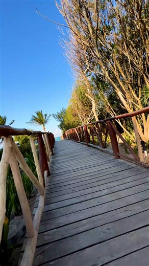 6.3K views · 52 reactions | Designed for wandering... #unico2087 #MyUnicoExperience | UNICO 20º87º Hotel Riviera Maya | Facebook