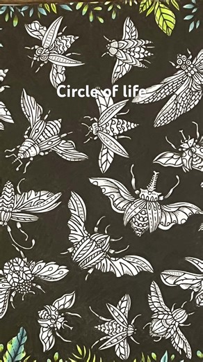 Nueva página terminada del libro circle of life #colors #coloring