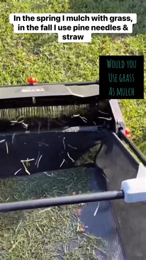 Using grass as mulch in the garden is a simple, effective way to recycle yard waste while enriching the soil. Freshly cut grass clippings break down quickly, providing a gentle source of nitrogen that feeds microorganisms and supports healthier plant growth. When applied as a thin, even layer, grass mulch helps the soil retain moisture, reduces how often you need to water, and shields the surface from summer heat that can stress plant roots. It also suppresses many small weeds by limiting the su