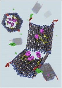 Researchers at Harvard’s Wyss Institute Develop DNA Nanorobot to Trigger Targeted Therapeutic Responses