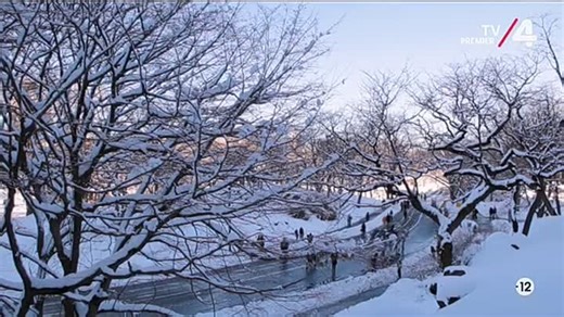 A titkos Mikulás (2015)