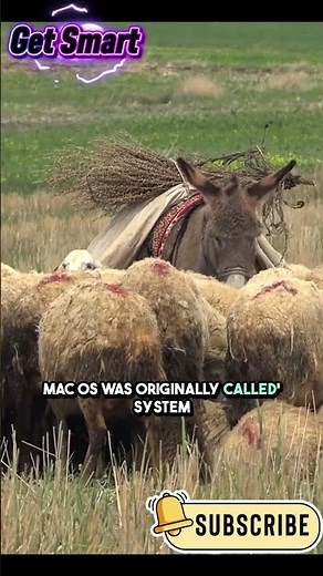 "Wild OS Facts 🖥️🔥 Shocking Secrets Revealed!" #OSFacts #TechTrivia #ComputerFacts