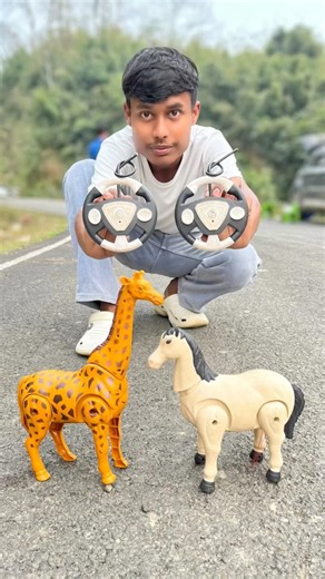 Remote Control 2Ta Horse And Rc Big Giraffe Unboxing & Testing 😱