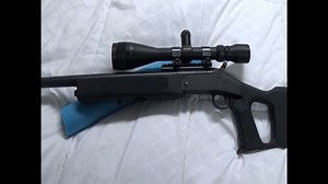 NEF Handi Rifle 223 Remington Survivor - The Reloaders Network
