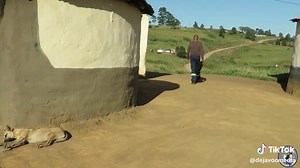 Discover Ingwijikhwebu and Imvumo TC Songs | Dejavoo Media