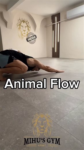 Warum du Animal Flow in deinen Trainingsplan einbauen solltest 🐾🔥 Animal Flow macht dich nicht nur stärker, es macht dich besser. Durch die fließenden Bodenbewegungen verbesserst du gleichzeitig Mobilität, Koordination, Stabilität und Körperkontrolle. Es schließt genau die Lücken, die klassisches Krafttraining oft lässt. Mehr Beweglichkeit, smartere Bewegungen, stärkerer Core, alles in einem Flow. Perfekt als Warm-up, Finisher oder eigener Trainingstag. #animalflow #kurse #mobilität #koordinat
