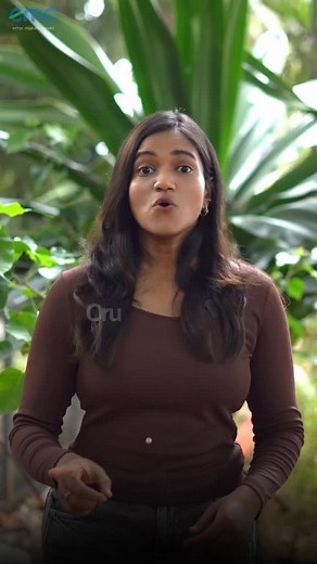 27K views · 637 reactions | Comment ‘UPSKILL’ for the link to all the free courses and get certified by Google, IBM, and Microsoft. {certificates, IBM, Google, Free course} #google #ibm #certifications #errormakesclever #tech | Error Makes Clever | Facebook