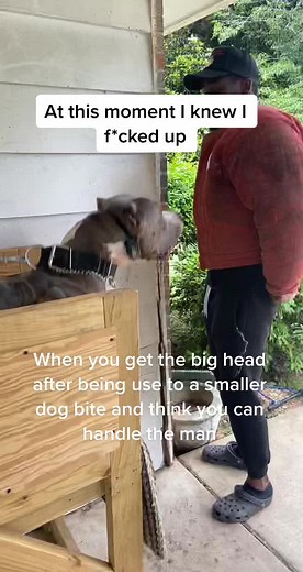 This is a fully trained service dog . Its all fun an love for the dogs #dogtraining #gaurddog #servicedog