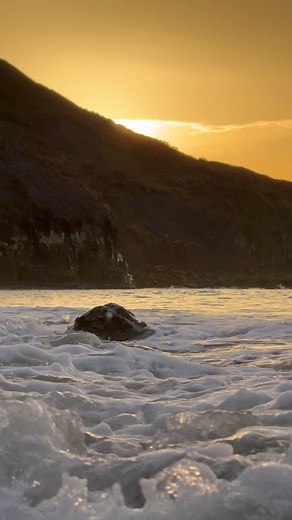 3.4M views · 59K reactions | We opened this block of Jurassic shale...