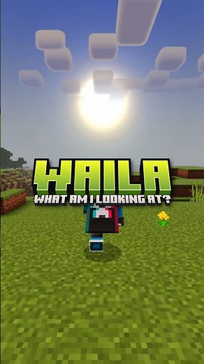 WAILA 🔍 #minecraft #bedrock #addon #hud #information #waila #alecstry