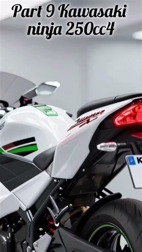 #バイクレビュー #バイラル カワサキ ニンジャ250レビュー｜外装・性能・安全性を徹底解説！