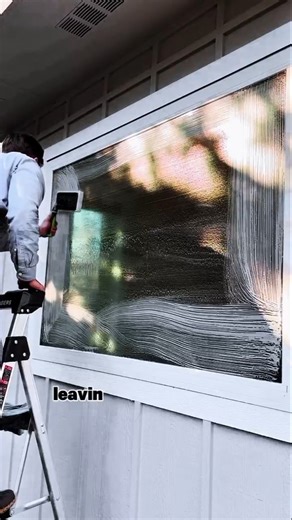 Professional Window Cleaning with Streak-Free Squeegee | Crystal Clear Results in Minutes
