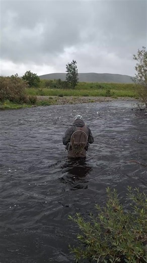 Scottishfisher on TikTok