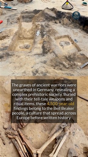 Germanys 4,500-year-old warrior graves reveal the secrets of the ancient Bell Beaker people. #ancienthistory #archaeology #discovery | Ancient Enigma