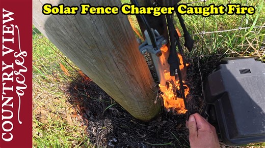 34K views · 1.4K reactions | Our Solar Fence Charger Caught Fire Buy...