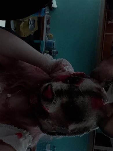 Killer Bunny Halloween Costume Ideas