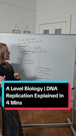 Understanding DNA Replication in A Level Biology
