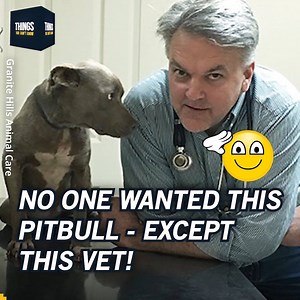 1.8M views · 1.8K reactions | Such a great human being! 殺❤️ Granite Hills Animal Care - Elberton, Ga | Things You Don't Know | Facebook