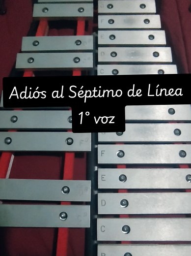 Adiós al Séptimo de Línea en Lira