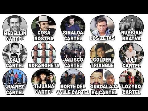 The Most Powerful Drug Cartels in History Explained