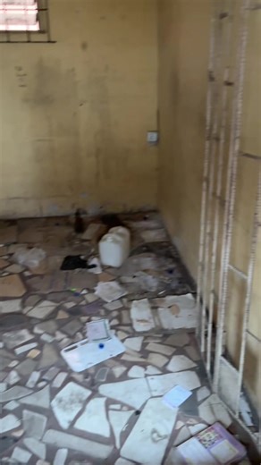 This is the testament that God is always good 😩😩💃💃🥳🙏. Our new HAIR SALON is now #open 🤗🥺, 📍LOCATION : 83 Adetola Off Savanna Bustop Aguda Surulere Lagos. #whatsapp / #tel : 07040342278. #stylist #tiktokviral