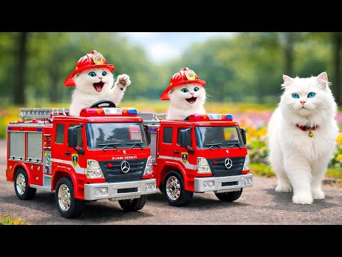 Mama Cat Saves Her Kittens After a House Fire 🔥 Buys a Toy Fire Truck 🚒 | Heartwarming Cat Story ❤️
