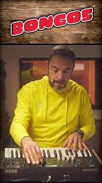 Congas patches - Korg WaveState Soundset: Drum Essentials Vol.1 #wavestate #korgsynth #korgwavestate