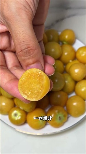 刚摘的头茬姑娘果、咬一口脆甜多汁，真的好好吃 #姑娘果 #好吃到停不下来 #东北黄姑娘果 #姑娘果尝鲜