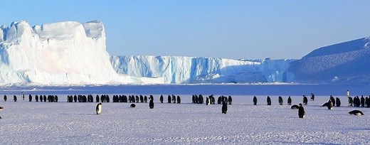 Die Polare/Subpolare Zone - Geographie