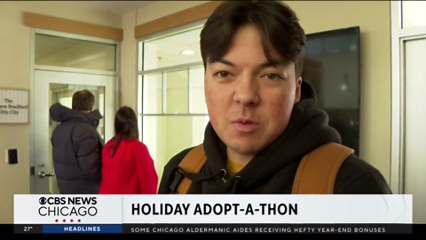 PAWS Chicago hosting annual Holiday Adopt-a-Thon