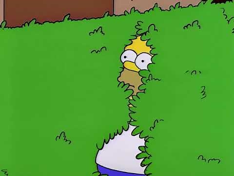 Homer Simpson Backs Into Bushes (4K 60fps)