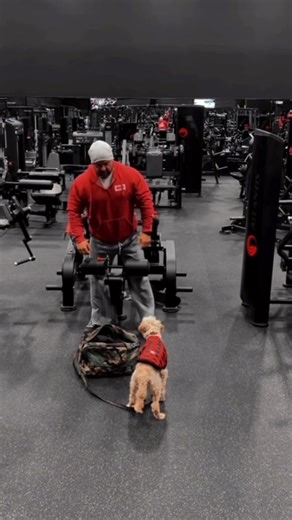 cowboybodybuilder (@cowboybodybuilder)’s videos with Can't Take Her Anywhere - Dylan Scott