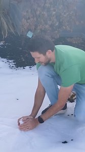 Bolas de nieve con nitrógeno sólido Parte 1 | The Action Lab en Español