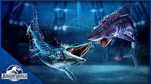 It's Here! The Aquatic Park