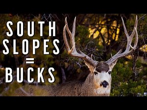 Why South-Facing Slopes RULE for MULE DEER | Late-Season Mule Deer Hunting Tips