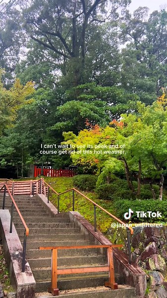 Japan Weather Update: Gloomy with Light Drizzle | Kyoto, Nagoya