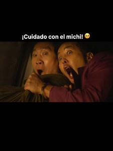Mira no le pasó nada, lo salvó Lee Min-seok 🥺 La película #MaridosEnAccion ya está disponible 💥 #HusbandsInAction #Michi #Gato #Animales #Humor #Comedia #KDrama #Netflix #fyp