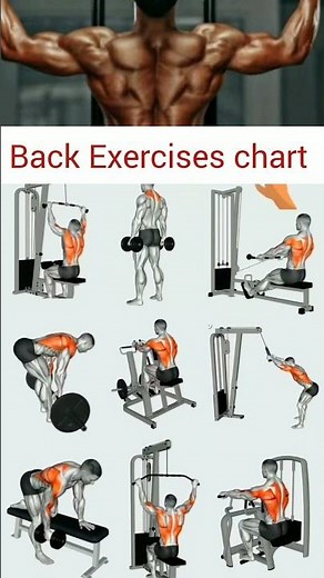 Ultimate Back Workout Guide: Exercises Chart for Gym