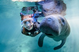 Three Sisters Springs Tips - Swimming with Manatees, Kayaking and more